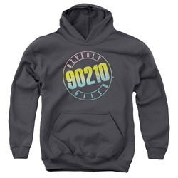 90210 - Youth Color Blend Logo Pullover Hoodie
