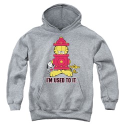 Garfield - Youth I'M Used To It Pullover Hoodie