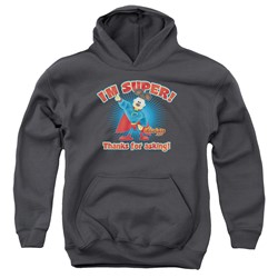 Garfield - Youth Super Pullover Hoodie