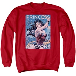Justice League - Mens Princess Of The Amazons Sweater