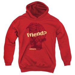 Labyrinth - Youth Ludo Friend Pullover Hoodie