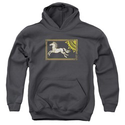 Lord Of The Rings - Youth Rohan Banner Pullover Hoodie