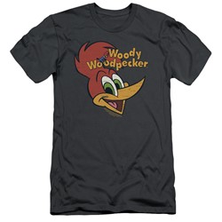 Woody Woodpecker - Mens Retro Logo Slim Fit T-Shirt