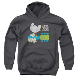 Woodstock - Youth Perched Pullover Hoodie