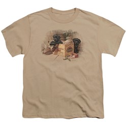 Wildlife - Big Boys Box Boys Black Labs T-Shirt