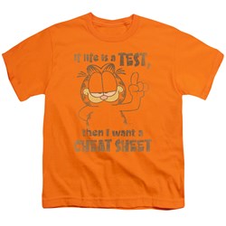Garfield - Cheat Sheet - Big Boys Orange S/S T-Shirt For Boys