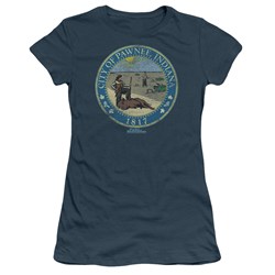 Nbc - Distressed Pawnee Seal Juniors T-Shirt In Slate