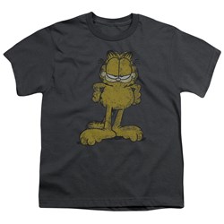 Garfield - Big Ol' Cat Big Boys T-Shirt In Charcoal