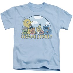Sesame Street - Little Boys Sesame Group T-Shirt