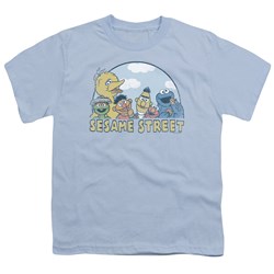 Sesame Street - Big Boys Sesame Group T-Shirt