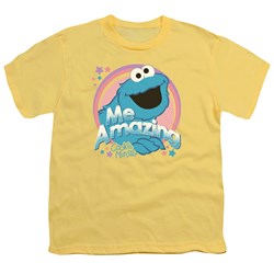 Sesame Street - Big Boys Me Amazing T-Shirt