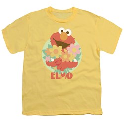 Sesame Street - Big Boys Flowers For You T-Shirt
