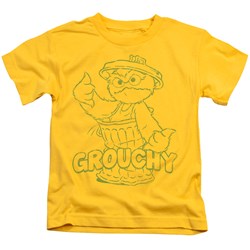 Sesame Street - Little Boys Grouchy T-Shirt
