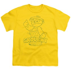 Sesame Street - Big Boys Grouchy T-Shirt