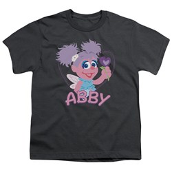 Sesame Street - Big Boys Flat Abby T-Shirt