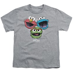 Sesame Street - Big Boys Halftone Heads T-Shirt