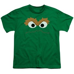 Sesame Street - Big Boys Oscar Face T-Shirt