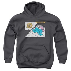 Sesame Street - Youth Meanwhile Pullover Hoodie