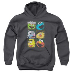 Sesame Street - Youth Group Squares Pullover Hoodie