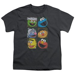 Sesame Street - Big Boys Group Squares T-Shirt