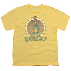 Sesame Street - Big Boys Stacked Group T-Shirt