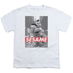 Sesame Street - Big Boys Sesame T-Shirt