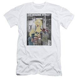Sesame Street - Mens Best Address Premium Slim Fit T-Shirt