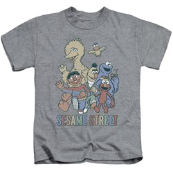 Sesame Street - Little Boys Colorful Group T-Shirt