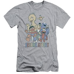 Sesame Street - Mens Colorful Group Premium Slim Fit T-Shirt