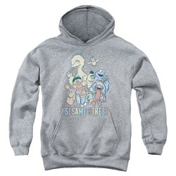 Sesame Street - Youth Colorful Group Pullover Hoodie