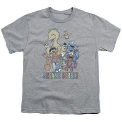 Sesame Street - Big Boys Colorful Group T-Shirt