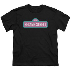 Sesame Street - Big Boys Alt Logo T-Shirt