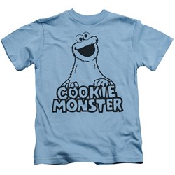 Sesame Street - Little Boys Vintage Cookie Monster T-Shirt