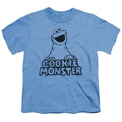 Sesame Street - Big Boys Vintage Cookie Monster T-Shirt