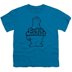 Sesame Street - Big Boys Cookie Body T-Shirt
