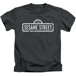 Sesame Street - Little Boys One Color Logo T-Shirt