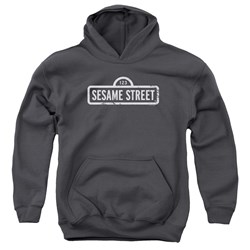 Sesame Street - Youth One Color Logo Pullover Hoodie