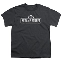 Sesame Street - Big Boys One Color Logo T-Shirt