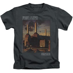 Pink Floyd - Little Boys Faded Animals T-Shirt