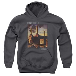Pink Floyd - Youth Faded Animals Pullover Hoodie