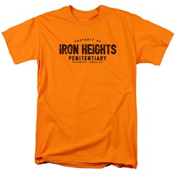 Justice League - Mens Iron Heights T-Shirt