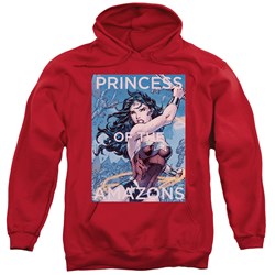 Justice League - Mens Princess Of The Amazons Pullover Hoodie
