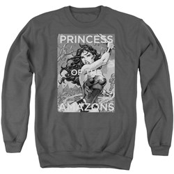 Justice League - Mens Princess Of The Amazons Sweater