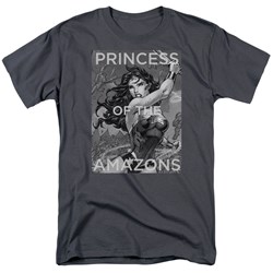 Justice League - Mens Princess Of The Amazons T-Shirt