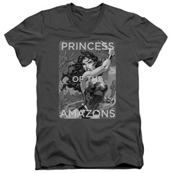 Justice League - Mens Princess Of The Amazons V-Neck T-Shirt