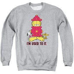 Garfield - Mens I&#39;M Used To It Sweater