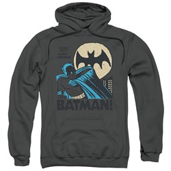 DC Comics - Mens Look Out Pullover Hoodie