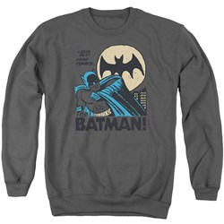 DC Comics - Mens Look Out Sweater