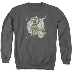 DC Comics - Mens Right On Target Sweater