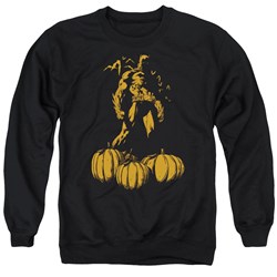 Batman - Mens A Bat Among Pumpkins Sweater